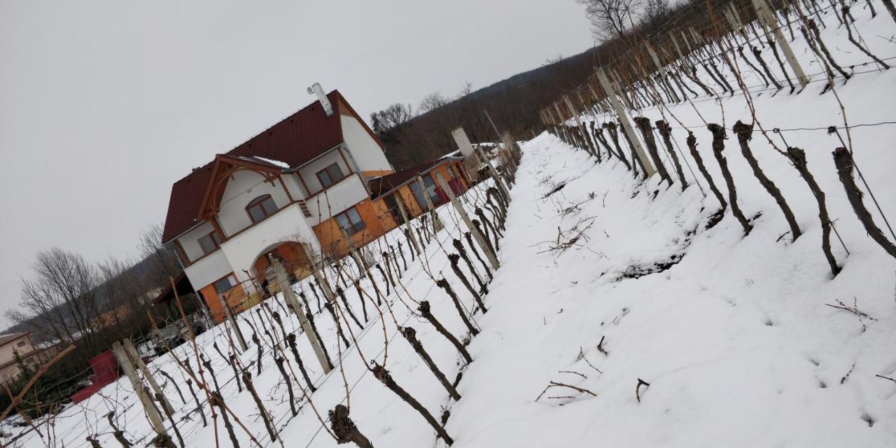 Vinox Winery Villa Vinica Bagian luar foto