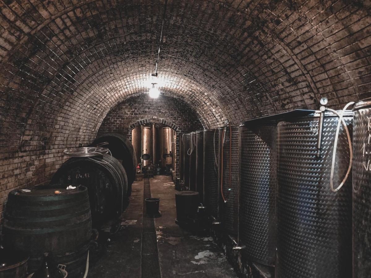 Vinox Winery Villa Vinica Bagian luar foto