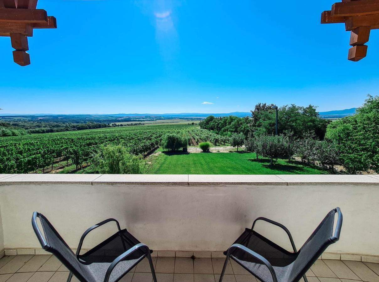 Vinox Winery Villa Vinica Bagian luar foto